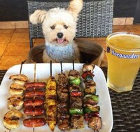 Canine Food Bloggers Image 2