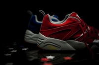 Celebratory Star-Spangled Sneakers Image 6