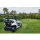 Collaborative Luxury Golf Carts Image 2