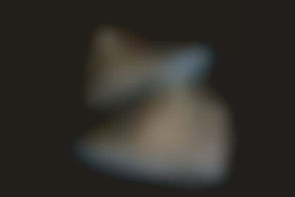 Gilded Rapper Sneakers