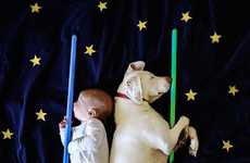 Rescue Dog Photography