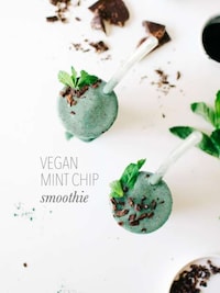 Vegan Ice Cream Smoothies Image 5