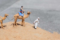 Miniature Urban Deserts Image 2