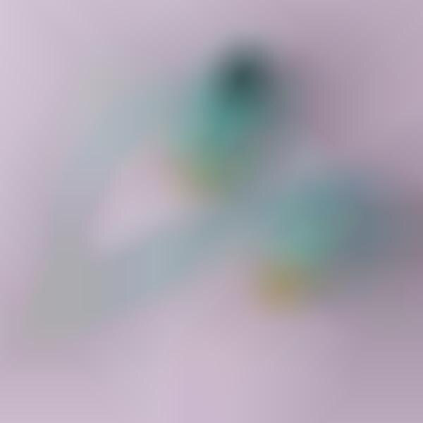 Glittery House Slippers