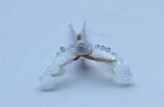 Futuristic Biohybrid Robots