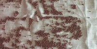 Thermally Conductive Comforters Image 2