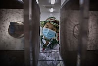 Genetically Engineered Mosquitoes Image 7