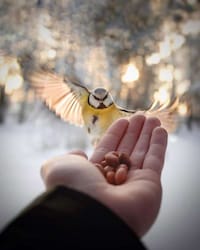 Intimate Animal Photography Image 2
