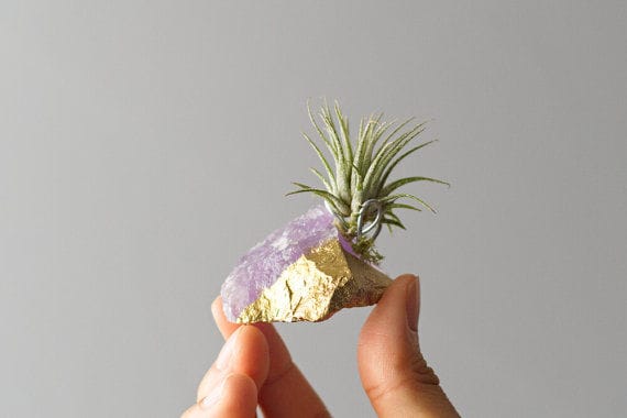 Healing Crystal Planters