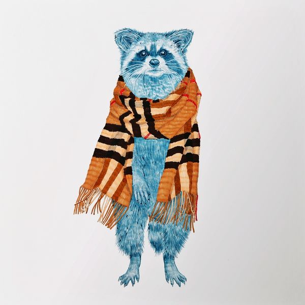 Couture Raccoon Portraits