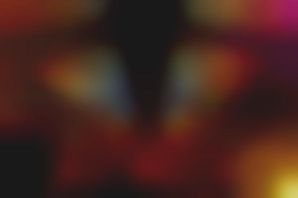 Digitized Venue Ceilings