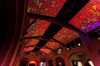 Digitized Venue Ceilings Image 5