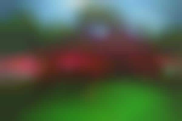 Virtual Vineyard Tours