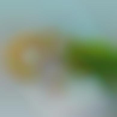VR Modeling Programs