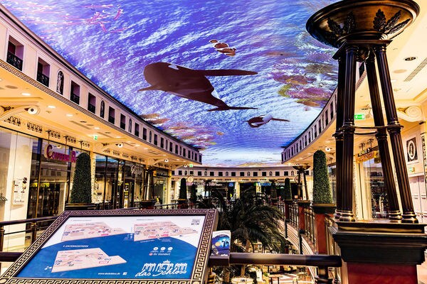 Ceiling Projection Installations
