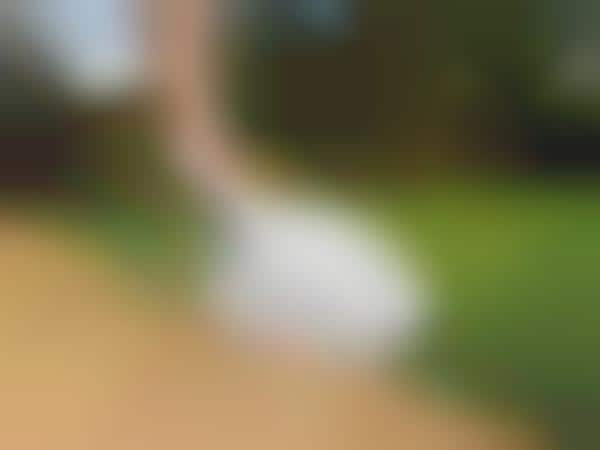 Vacuuming Grass Trimmers