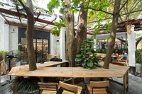 Plant-Covered Cafes Image 3