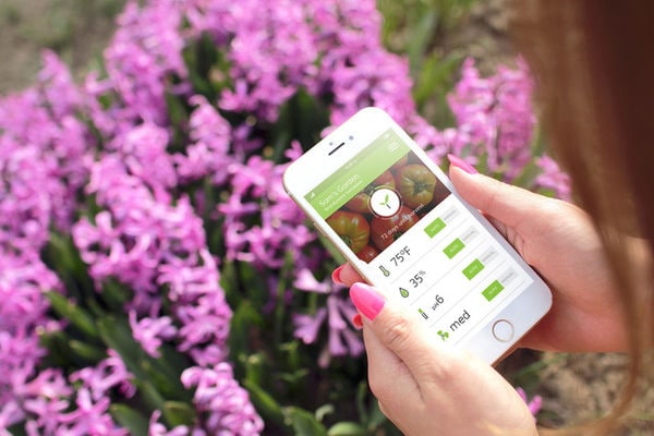 Top 100 Eco Ideas in August