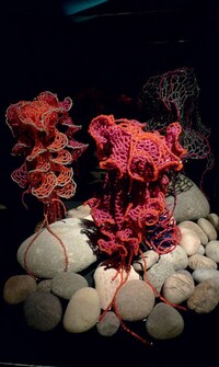 Crocheted Coral Sculptures Image 2