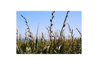Unexposed Scenic Photography Image 7