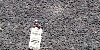 Slatted Crawling Robots Image 2
