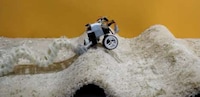 Slatted Crawling Robots Image 3