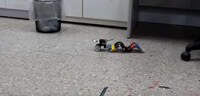 Slatted Crawling Robots Image 4