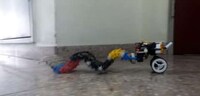 Slatted Crawling Robots Image 6