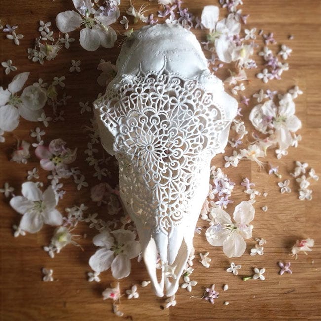 Carved Skull Lamps