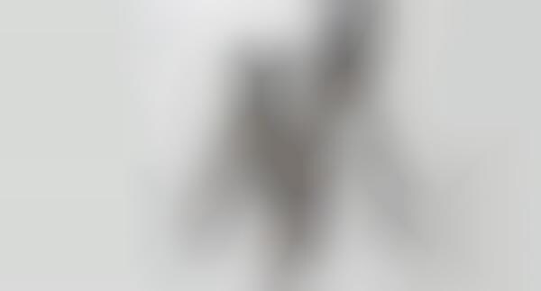 Flexible Vlogging Tripods