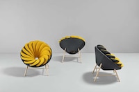Colorful Avian Armchairs Image 3
