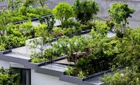 Residental Rooftop Gardens Image 2