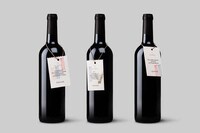 Paper-Packaged Wine Bottles Image 2