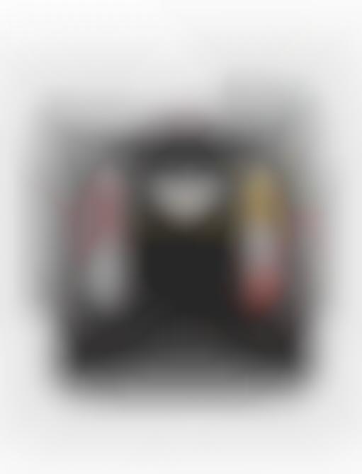 Assistive Cargo Vans