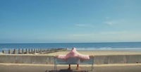 Undercooked Chicken PSAs Image 5