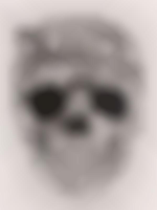Multi-Faced Skulls