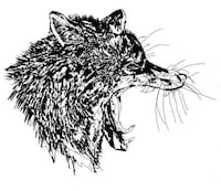 Animalistic Heritage Sketches Image 2