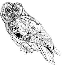 Animalistic Heritage Sketches Image 3