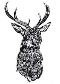 Animalistic Heritage Sketches Image 4