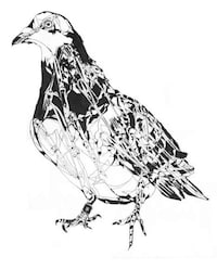 Animalistic Heritage Sketches Image 7