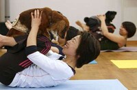 Dogacize Image 2