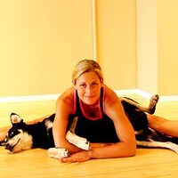 Dogacize Image 5