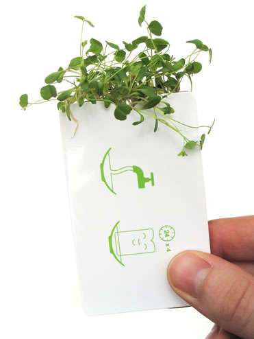25 Designs that Live
