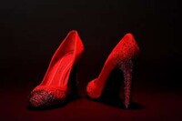 Revamped Ruby Slippers Image 5