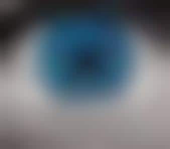 Biometric Eye Scans