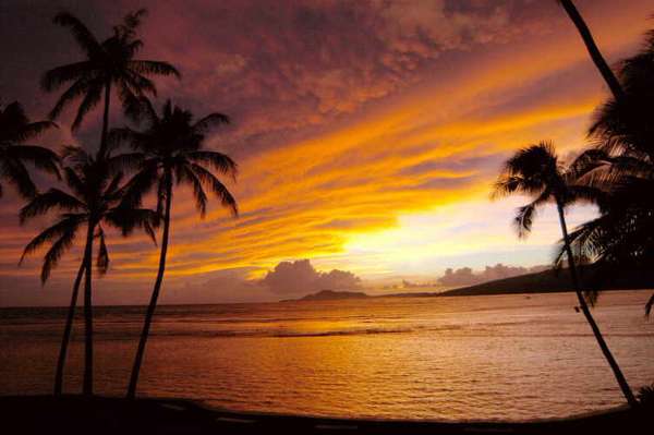 14 Viral Hawaiian Innovations
