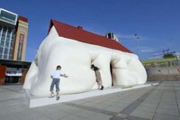 Unexpected Situation Photography Image 8