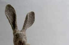 Teddy Bear Evolution (UPDATE)