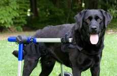 Wheelchairs for Pets
