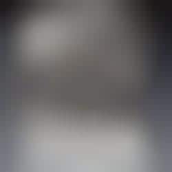 Canine Furtography